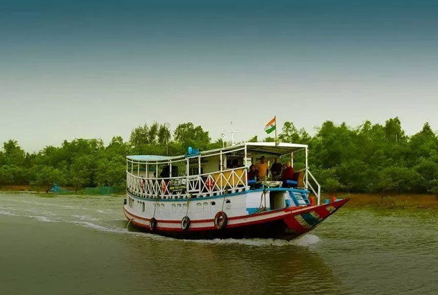 Live Site